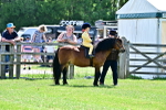 SBM_05780
