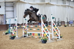 Class 12 - Senior Foxhunter - 1.20m portfolio