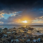 L-16-Seaweed Sunset