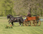 Attelage -709