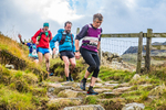 Langdale-2453