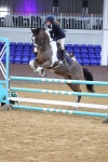 SBM_009909