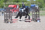 BPP_6833