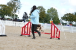 SBM_29154