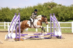 SBM_000384