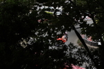 FOM_4069