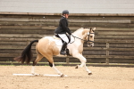 SBM_000979