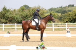 SBM_006248