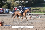 BPP_9189