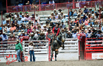 3HRodeo_CFD_JUL_18_2026_04074