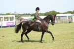 SBM_09201
