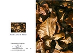 Winter 1. Winter beech leaves  Win01