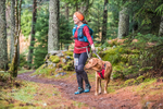 Glentress-2405