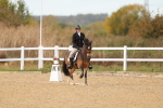 SBM_010558