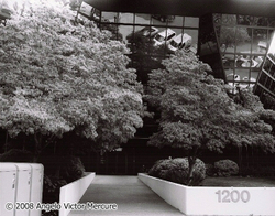 Architecture portfolio