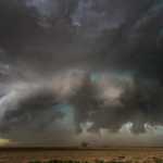 Texas Tornado Tree