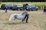 WJ6_7074