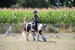 WJ6_8960