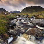 The Poisoned Glen