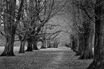 Tatton Drive