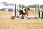 SBM_025071