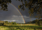 Appin Rainbow