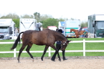 SBM_05698