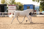 SBM_08191