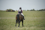 BVHT 140517  NXC -184