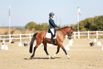 SBM_017304