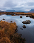 Rannoch Moor Autumn