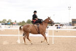 SBM_16449