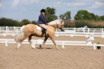 SBM_04024