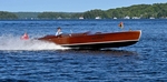 Whippet23-2927