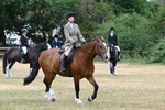 WJ7_1277