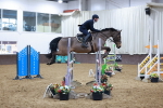 Class 13 - Redpost Equestrian Senior Foxhunter/ 1.20m Open portfolio
