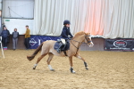 SBM_000798