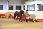 SBM_10715