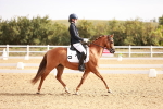SBM_016920