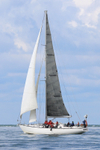 170916 MERMERUS 1Y3A1455