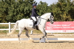 SBM_006638