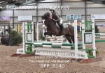 BPP_8140