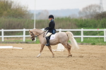 SBM_006299