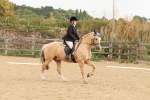 SBM_001490