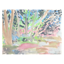 Searching for Shade II