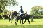 SBM_66547