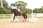 SBM_000356