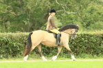 SBM_71847