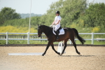 SBM_009994