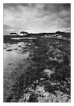 Berneray - North Uist